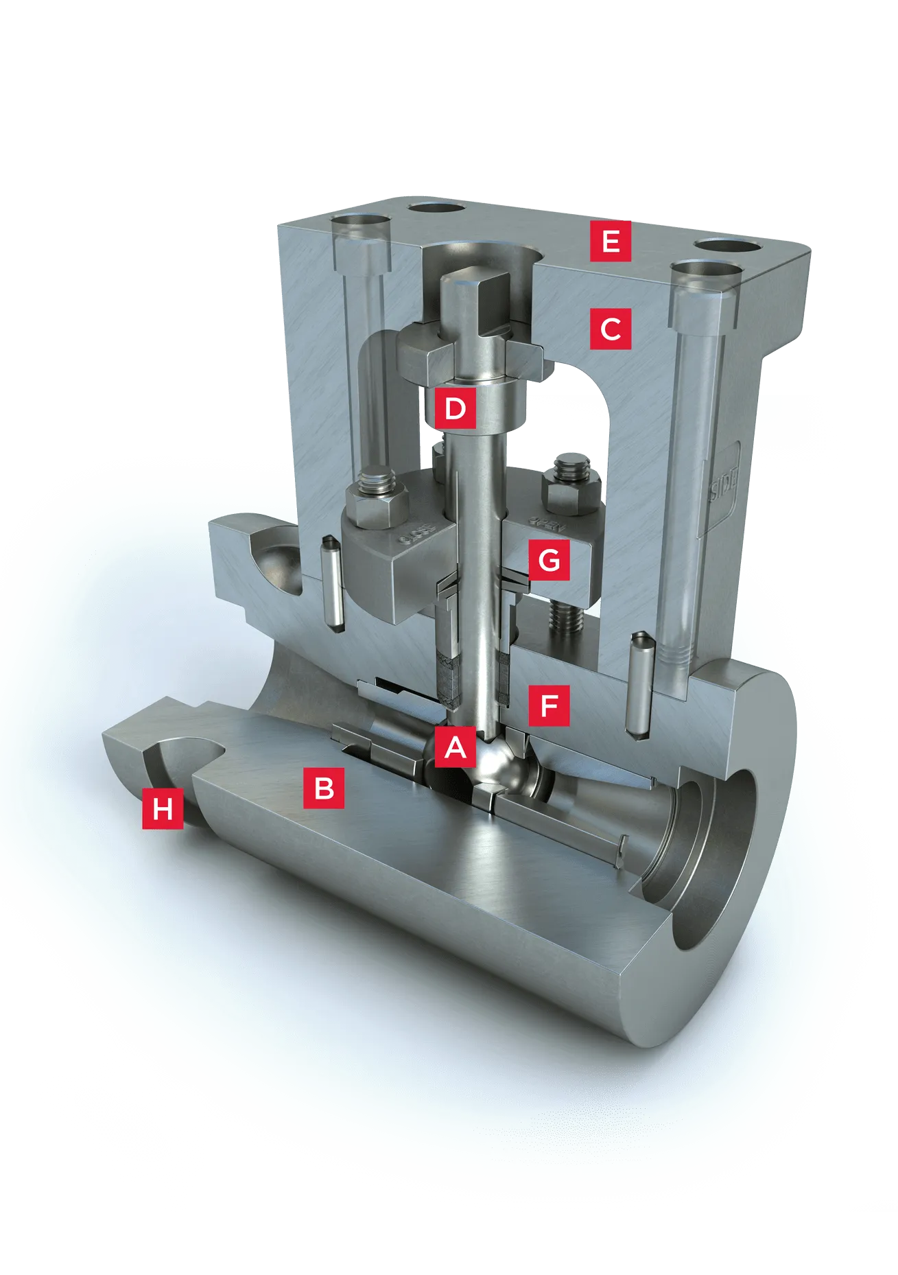 Web-m4-Cut-Away-min-2