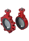 Resilient Seated Butterfly Valve Series 2021 Thumbnail